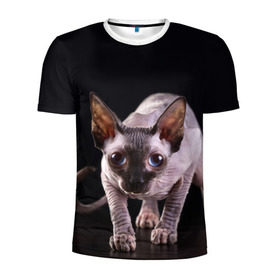 Мужская футболка 3D спортивная с принтом сфинкс в Белгороде, 100% полиэстер с улучшенными характеристиками | приталенный силуэт, круглая горловина, широкие плечи, сужается к линии бедра | cat | голубые глаза | кот | котик | котэ | кошка | сфинкс | черный