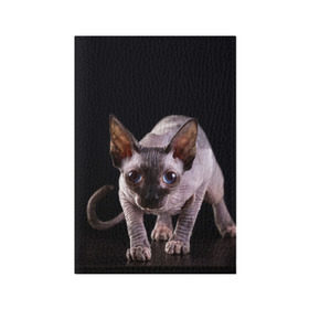 Обложка для паспорта матовая кожа с принтом сфинкс в Белгороде, натуральная матовая кожа | размер 19,3 х 13,7 см; прозрачные пластиковые крепления | cat | голубые глаза | кот | котик | котэ | кошка | сфинкс | черный