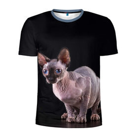 Мужская футболка 3D спортивная с принтом сфинкс в Белгороде, 100% полиэстер с улучшенными характеристиками | приталенный силуэт, круглая горловина, широкие плечи, сужается к линии бедра | взгляд | голубые глаза | киска | кот | котенок | котик | котэ | серый | сфинкс | черный