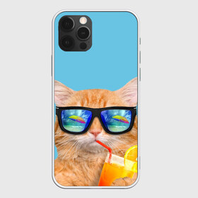 Чехол для iPhone 12 Pro Max с принтом котэ на отдыхе в Белгороде, Силикон |  | кот | котик | лето | море | отдых | очки | пальмы | пляж | рыжий кот | солнце