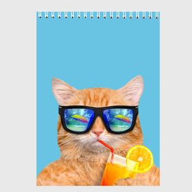 Скетчбук с принтом котэ на отдыхе в Белгороде, 100% бумага
 | 48 листов, плотность листов — 100 г/м2, плотность картонной обложки — 250 г/м2. Листы скреплены сверху удобной пружинной спиралью | Тематика изображения на принте: кот | котик | лето | море | отдых | очки | пальмы | пляж | рыжий кот | солнце