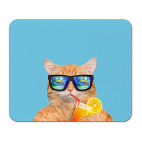Коврик прямоугольный с принтом котэ на отдыхе в Белгороде, натуральный каучук | размер 230 х 185 мм; запечатка лицевой стороны | кот | котик | лето | море | отдых | очки | пальмы | пляж | рыжий кот | солнце