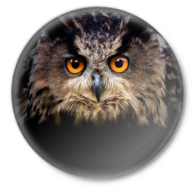 Значок с принтом Хищный взор в Белгороде,  металл | круглая форма, металлическая застежка в виде булавки | взгляд | глаза | клюв | пернатые | перья | птица | сова | филин | хищник