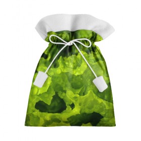 Подарочный 3D мешок с принтом Зелень в Белгороде, 100% полиэстер | Размер: 29*39 см | веган | зеленый | зелень | лето | овощи | салат | солнце | фрукты