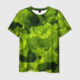 Мужская футболка 3D с принтом Зелень в Белгороде, 100% полиэфир | прямой крой, круглый вырез горловины, длина до линии бедер | Тематика изображения на принте: веган | зеленый | зелень | лето | овощи | салат | солнце | фрукты