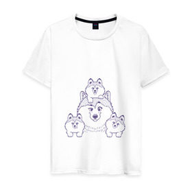 Мужская футболка хлопок с принтом Аляскинские маламуты в Белгороде, 100% хлопок | прямой крой, круглый вырез горловины, длина до линии бедер, слегка спущенное плечо. | husky | malamute | арт | маламут | собака | хаски