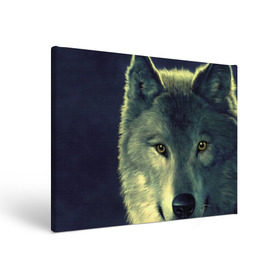 Холст прямоугольный с принтом Серый волк в Белгороде, 100% ПВХ |  | аука | бирюк | волк | волчара | волчица | волчок | глаза | животное | животные | зверь | зеленые | койот | млекопитающее | нос | санитар леса | серый | уши | фауна | фон | хищник | черный | шакал | шерсть