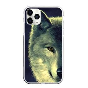 Чехол для iPhone 11 Pro матовый с принтом Серый волк в Белгороде, Силикон |  | аука | бирюк | волк | волчара | волчица | волчок | глаза | животное | животные | зверь | зеленые | койот | млекопитающее | нос | санитар леса | серый | уши | фауна | фон | хищник | черный | шакал | шерсть