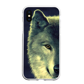Чехол для iPhone XS Max матовый с принтом Серый волк в Белгороде, Силикон | Область печати: задняя сторона чехла, без боковых панелей | аука | бирюк | волк | волчара | волчица | волчок | глаза | животное | животные | зверь | зеленые | койот | млекопитающее | нос | санитар леса | серый | уши | фауна | фон | хищник | черный | шакал | шерсть