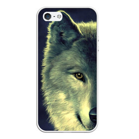 Чехол для iPhone 5/5S матовый с принтом Серый волк в Белгороде, Силикон | Область печати: задняя сторона чехла, без боковых панелей | аука | бирюк | волк | волчара | волчица | волчок | глаза | животное | животные | зверь | зеленые | койот | млекопитающее | нос | санитар леса | серый | уши | фауна | фон | хищник | черный | шакал | шерсть