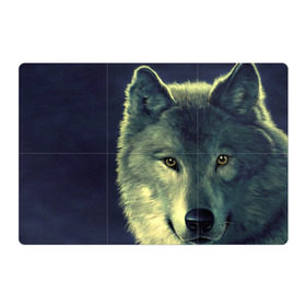 Магнитный плакат 3Х2 с принтом Серый волк в Белгороде, Полимерный материал с магнитным слоем | 6 деталей размером 9*9 см | аука | бирюк | волк | волчара | волчица | волчок | глаза | животное | животные | зверь | зеленые | койот | млекопитающее | нос | санитар леса | серый | уши | фауна | фон | хищник | черный | шакал | шерсть