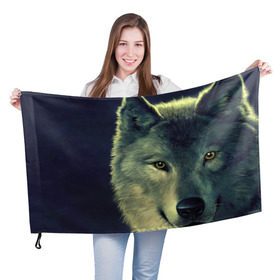 Флаг 3D с принтом Серый волк в Белгороде, 100% полиэстер | плотность ткани — 95 г/м2, размер — 67 х 109 см. Принт наносится с одной стороны | аука | бирюк | волк | волчара | волчица | волчок | глаза | животное | животные | зверь | зеленые | койот | млекопитающее | нос | санитар леса | серый | уши | фауна | фон | хищник | черный | шакал | шерсть