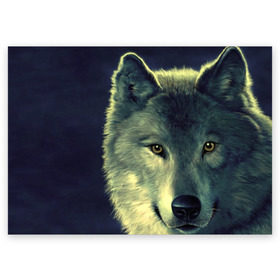 Поздравительная открытка с принтом Серый волк в Белгороде, 100% бумага | плотность бумаги 280 г/м2, матовая, на обратной стороне линовка и место для марки
 | аука | бирюк | волк | волчара | волчица | волчок | глаза | животное | животные | зверь | зеленые | койот | млекопитающее | нос | санитар леса | серый | уши | фауна | фон | хищник | черный | шакал | шерсть