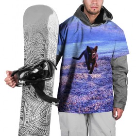 Накидка на куртку 3D с принтом Пляж в Белгороде, 100% полиэстер |  | Тематика изображения на принте: cat | kitty | животные | киса | кот | котенок | котэ | кошка