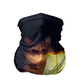 Бандана-труба 3D с принтом Истории в Белгороде, 100% полиэстер, ткань с особыми свойствами — Activecool | плотность 150‒180 г/м2; хорошо тянется, но сохраняет форму | cat | kitty | животные | киса | кот | котенок | котэ | кошка