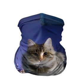 Бандана-труба 3D с принтом Киса на балконе в Белгороде, 100% полиэстер, ткань с особыми свойствами — Activecool | плотность 150‒180 г/м2; хорошо тянется, но сохраняет форму | Тематика изображения на принте: cat | kitty | животные | киса | кот | котенок | котэ | кошка