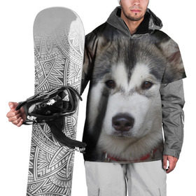 Накидка на куртку 3D с принтом Хаски в Белгороде, 100% полиэстер |  | волк | маламут | собака | хаски | щенок