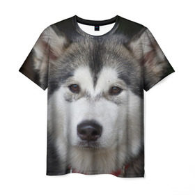 Мужская футболка 3D с принтом Хаски в Белгороде, 100% полиэфир | прямой крой, круглый вырез горловины, длина до линии бедер | Тематика изображения на принте: волк | маламут | собака | хаски | щенок