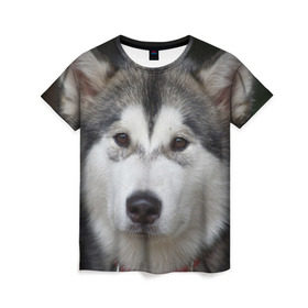 Женская футболка 3D с принтом Хаски в Белгороде, 100% полиэфир ( синтетическое хлопкоподобное полотно) | прямой крой, круглый вырез горловины, длина до линии бедер | волк | маламут | собака | хаски | щенок
