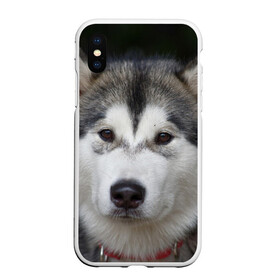 Чехол для iPhone XS Max матовый с принтом Хаски в Белгороде, Силикон | Область печати: задняя сторона чехла, без боковых панелей | волк | маламут | собака | хаски | щенок