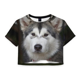 Женская футболка 3D укороченная с принтом Хаски в Белгороде, 100% полиэстер | круглая горловина, длина футболки до линии талии, рукава с отворотами | волк | маламут | собака | хаски | щенок