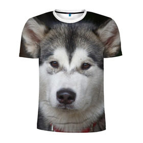 Мужская футболка 3D спортивная с принтом Хаски в Белгороде, 100% полиэстер с улучшенными характеристиками | приталенный силуэт, круглая горловина, широкие плечи, сужается к линии бедра | волк | маламут | собака | хаски | щенок