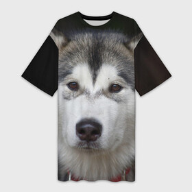 Платье-футболка 3D с принтом Хаски в Белгороде,  |  | волк | маламут | собака | хаски | щенок