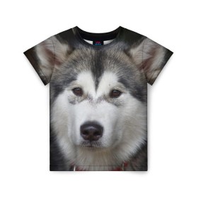 Детская футболка 3D с принтом Хаски в Белгороде, 100% гипоаллергенный полиэфир | прямой крой, круглый вырез горловины, длина до линии бедер, чуть спущенное плечо, ткань немного тянется | Тематика изображения на принте: волк | маламут | собака | хаски | щенок