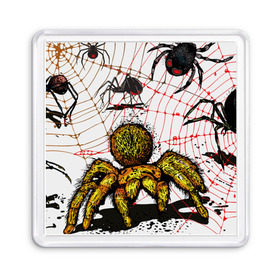 Магнит 55*55 с принтом Тарантул в Белгороде, Пластик | Размер: 65*65 мм; Размер печати: 55*55 мм | spider | паук | паутина | тарантул