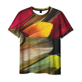 Мужская футболка 3D с принтом Перья в Белгороде, 100% полиэфир | прямой крой, круглый вырез горловины, длина до линии бедер | перо | попугай | птица | радуга | радужный
