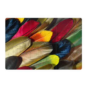 Магнитный плакат 3Х2 с принтом Перья в Белгороде, Полимерный материал с магнитным слоем | 6 деталей размером 9*9 см | перо | попугай | птица | радуга | радужный