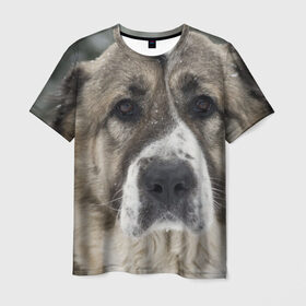 Мужская футболка 3D с принтом САО (алабай) в Белгороде, 100% полиэфир | прямой крой, круглый вырез горловины, длина до линии бедер | большая огромная | грозная | добрая | друг человека | животное | красивая | милая | пес | породистая собака | породы | прикольная | сао алабай | щенок