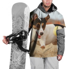 Накидка на куртку 3D с принтом Счастье в Белгороде, 100% полиэстер |  | Тематика изображения на принте: друг человека | животное | игра | красивая | ловит | маленький | милая | мяч | на природе | пес | породистая собака | породы | прикольная | счастливый | щенок