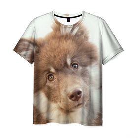 Мужская футболка 3D с принтом Милый в Белгороде, 100% полиэфир | прямой крой, круглый вырез горловины, длина до линии бедер | друг человека | животное | красивая | маленький | милая | милый взгляд | пес | песик | породистая собака | породы | прикольная | рыжий | щенок