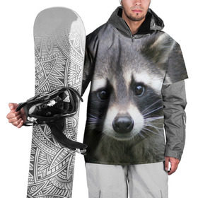 Накидка на куртку 3D с принтом Озадаченный енот в Белгороде, 100% полиэстер |  | Тематика изображения на принте: добрый | енот | животное | зверек | зверь | красивый | милое | милый | полоски серые | полоскун | прикольный | природа | усатый | фауна | флора | хищник | черный | шерсть