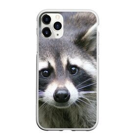 Чехол для iPhone 11 Pro матовый с принтом Озадаченный енот в Белгороде, Силикон |  | добрый | енот | животное | зверек | зверь | красивый | милое | милый | полоски серые | полоскун | прикольный | природа | усатый | фауна | флора | хищник | черный | шерсть