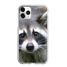 Чехол для iPhone 11 Pro Max матовый с принтом Озадаченный енот в Белгороде, Силикон |  | добрый | енот | животное | зверек | зверь | красивый | милое | милый | полоски серые | полоскун | прикольный | природа | усатый | фауна | флора | хищник | черный | шерсть