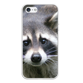 Чехол для iPhone 5/5S матовый с принтом Озадаченный енот в Белгороде, Силикон | Область печати: задняя сторона чехла, без боковых панелей | добрый | енот | животное | зверек | зверь | красивый | милое | милый | полоски серые | полоскун | прикольный | природа | усатый | фауна | флора | хищник | черный | шерсть