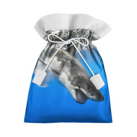 Подарочный 3D мешок с принтом Акула в Белгороде, 100% полиэстер | Размер: 29*39 см | shark | море | синий | челюсти