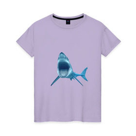 Женская футболка хлопок с принтом Акула в Белгороде, 100% хлопок | прямой крой, круглый вырез горловины, длина до линии бедер, слегка спущенное плечо | shark | челюсти