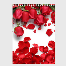 Скетчбук с принтом Сильные чуства в Белгороде, 100% бумага
 | 48 листов, плотность листов — 100 г/м2, плотность картонной обложки — 250 г/м2. Листы скреплены сверху удобной пружинной спиралью | желтый | красный | любовь | новинки | подарок | розы | сердце | текстура | тюльпаны | цветы