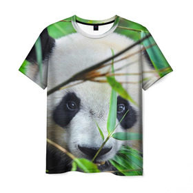 Мужская футболка 3D с принтом Панда в лесу в Белгороде, 100% полиэфир | прямой крой, круглый вырез горловины, длина до линии бедер | бамбук | животное | медведь
