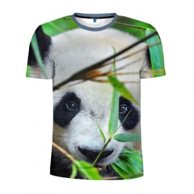 Мужская футболка 3D спортивная с принтом Панда в лесу в Белгороде, 100% полиэстер с улучшенными характеристиками | приталенный силуэт, круглая горловина, широкие плечи, сужается к линии бедра | Тематика изображения на принте: бамбук | животное | медведь