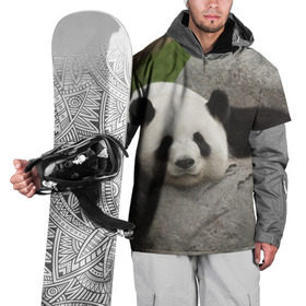 Накидка на куртку 3D с принтом Панда на камушке в Белгороде, 100% полиэстер |  | Тематика изображения на принте: бамбук | животное | медведь