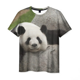 Мужская футболка 3D с принтом Панда на камушке в Белгороде, 100% полиэфир | прямой крой, круглый вырез горловины, длина до линии бедер | бамбук | животное | медведь