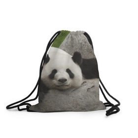Рюкзак-мешок 3D с принтом Панда на камушке в Белгороде, 100% полиэстер | плотность ткани — 200 г/м2, размер — 35 х 45 см; лямки — толстые шнурки, застежка на шнуровке, без карманов и подкладки | бамбук | животное | медведь