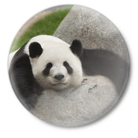 Значок с принтом Панда на камушке в Белгороде,  металл | круглая форма, металлическая застежка в виде булавки | бамбук | животное | медведь