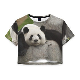 Женская футболка 3D укороченная с принтом Панда на камушке в Белгороде, 100% полиэстер | круглая горловина, длина футболки до линии талии, рукава с отворотами | бамбук | животное | медведь