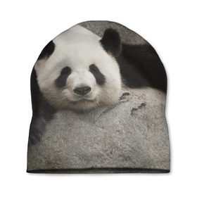 Шапка 3D с принтом Панда на камушке в Белгороде, 100% полиэстер | универсальный размер, печать по всей поверхности изделия | бамбук | животное | медведь