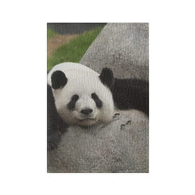 Обложка для паспорта матовая кожа с принтом Панда на камушке в Белгороде, натуральная матовая кожа | размер 19,3 х 13,7 см; прозрачные пластиковые крепления | Тематика изображения на принте: бамбук | животное | медведь